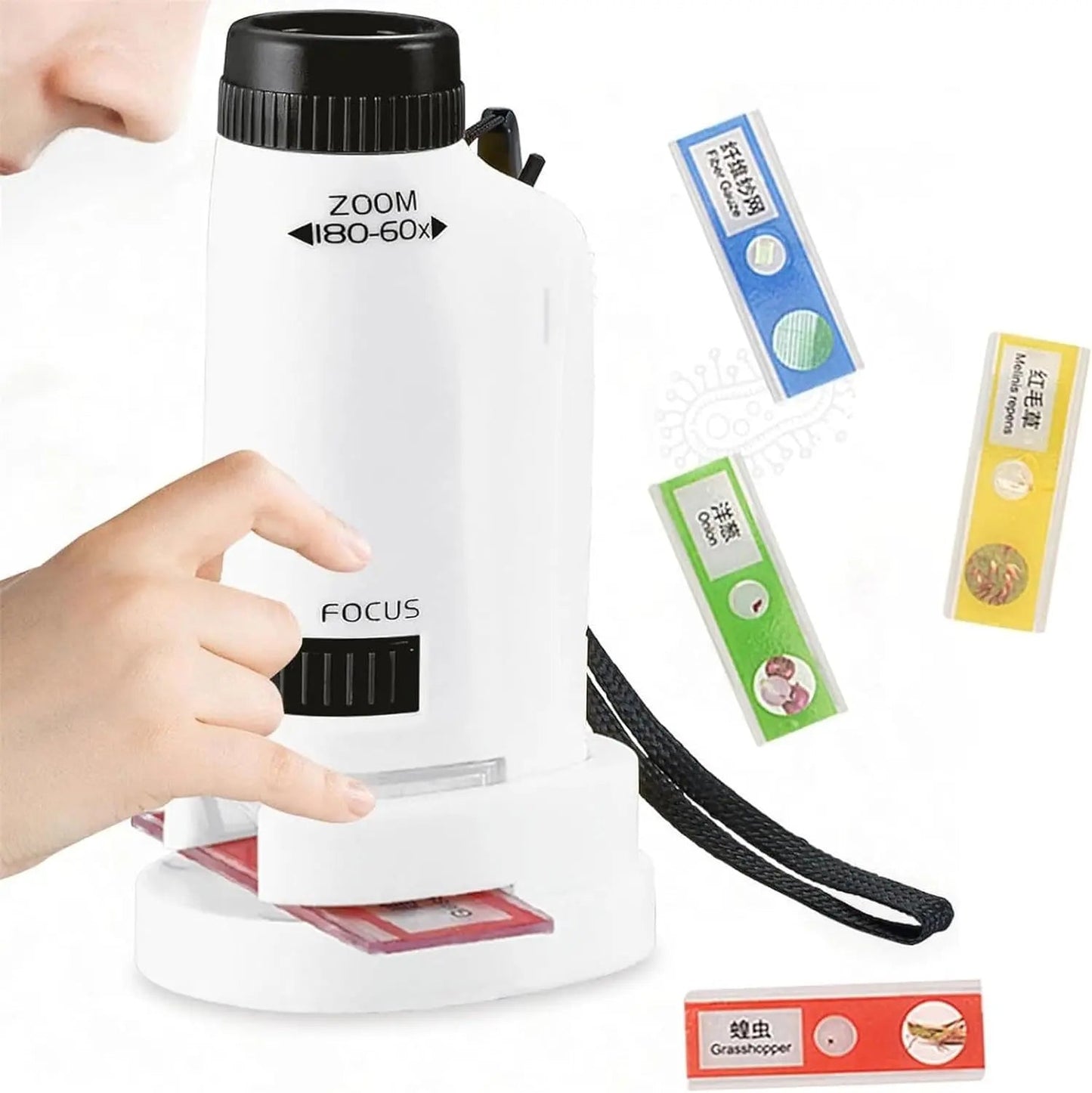Portable Handheld LED Microscope for Kids